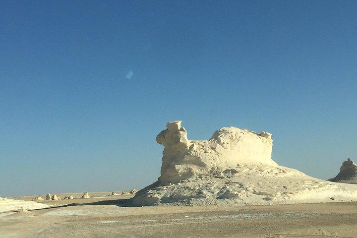 2 Days White Desert and Bahariya Oasis Tour