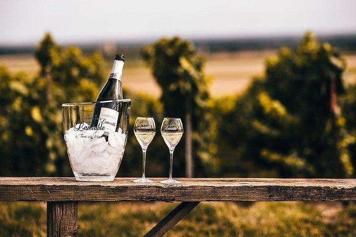 Champagne Lamiable: Stroll and taste in the Grand Cru Champagne vineyard