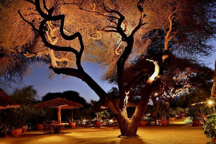 3 Days Amboseli Safari