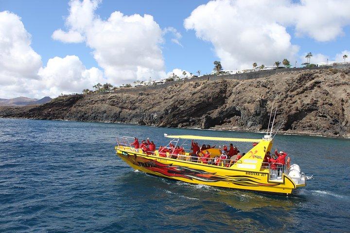 Dolphin Mini Cruise at Playa del Carmen