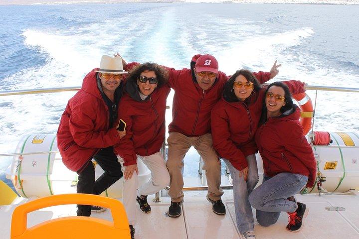Dolphin Mini Cruise at Playa del Carmen