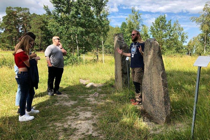 Viking History Small Group Tour from Stockholm: Half Day Including Sigtuna