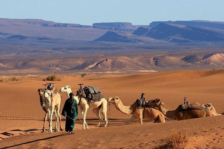 2 Days Private Tour From Marrakech To Zagora Desert