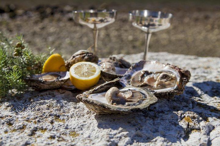 Peljesac Peninsula Wine Tasting Luxury Tour from Dubrovnik