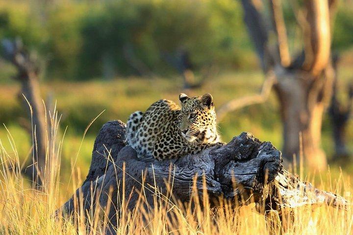 2 days 1 night Amboseli National Park Safari