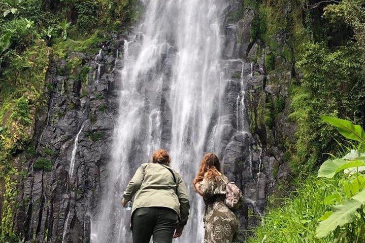 Kilimanjaro Waterfalls Hike & Moshi Hot Springs Day Trip Tour
