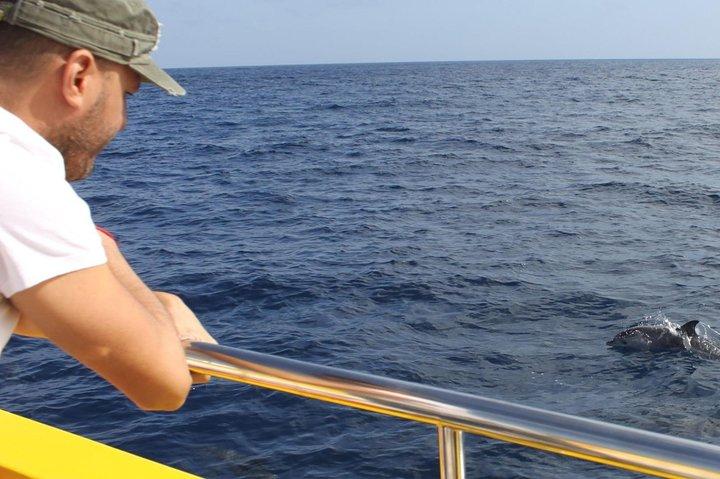 2.5-hour Lanzarote Sunset Cruise from Marina Puerto del Carmen