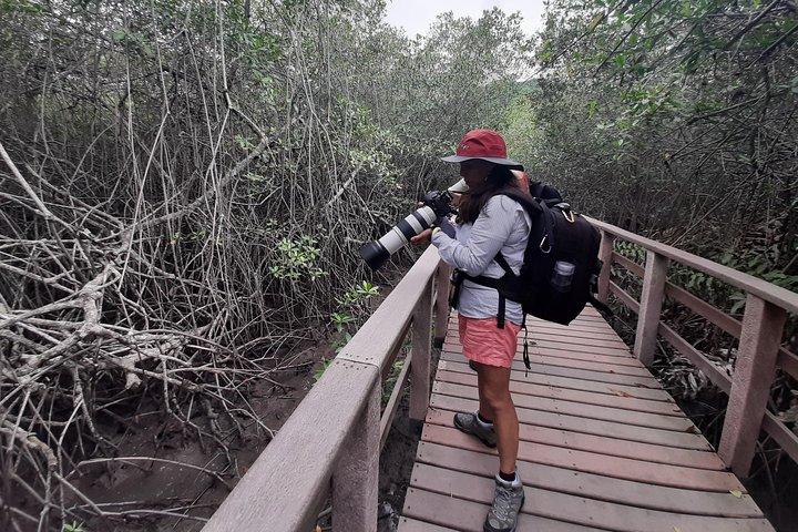 Full day to Ecological Reserve Churute Mangrove and Cocoa Farm Visit