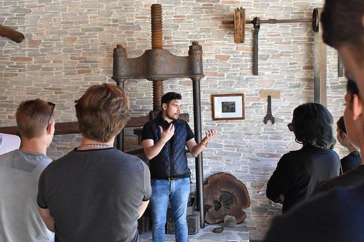The Governor's Olive Mill Tour with Olive Oil Tasting