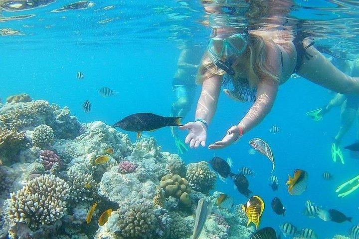 Relaxing Day Tour To Red Sea At Ain El Sokhna From Cairo