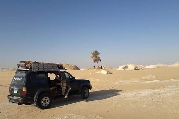 White Desert and Bahariya Oasis Tour From Cairo