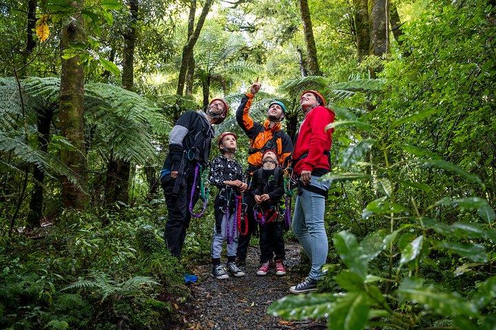 The Original Canopy Zipline Experience Private Tour From Auckland