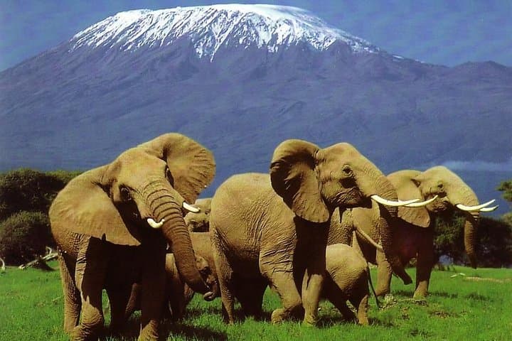 3days masai mara best of lodge safari