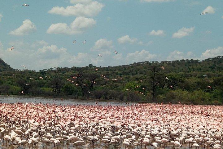 5-Day Tanzania Camping Safari: Manyara, Serengeti & Ngorongoro