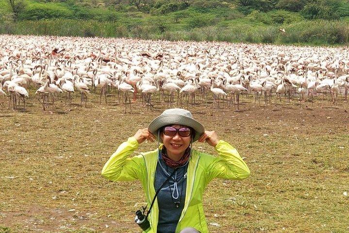 5-Day Tanzania Camping Safari: Manyara, Serengeti & Ngorongoro