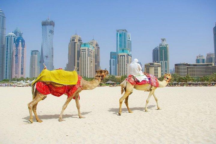 Private Half Day Modern Dubai City tour with Lunch