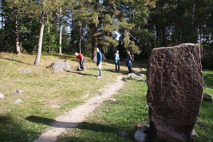 Private Half Day Tour: Viking History Trip from Stockholm Including Sigtuna