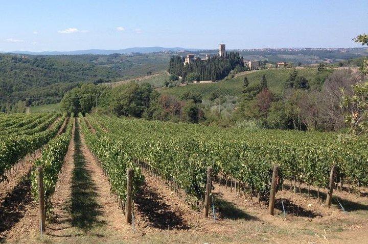 Chianti Wine Tour - Private Wine experience in Tuscany Countryside