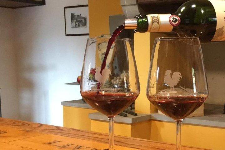 Chianti Wine Tour - Private Wine experience in Tuscany Countryside