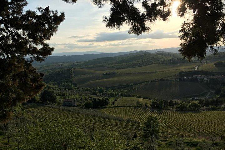 Chianti Wine Tour - Private Wine experience in Tuscany Countryside