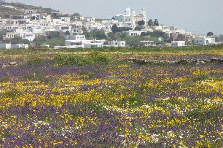 Tinos Island Tour from Mykonos