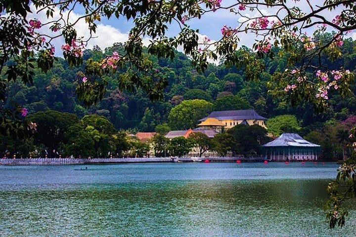 Sri Lanka Tour Packages with English Speaking Driver Guide and Car