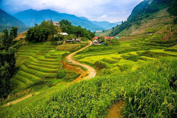 Sapa trekking 2days by bus from Hanoi ( over night in homestay)