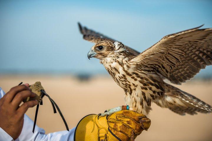 Falcon Hospital Tour with Hotel Pick up & Drop off