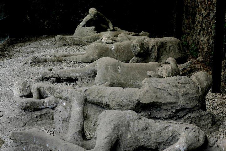 Private Pompeii Tour with Local Guide & Entry Ticket