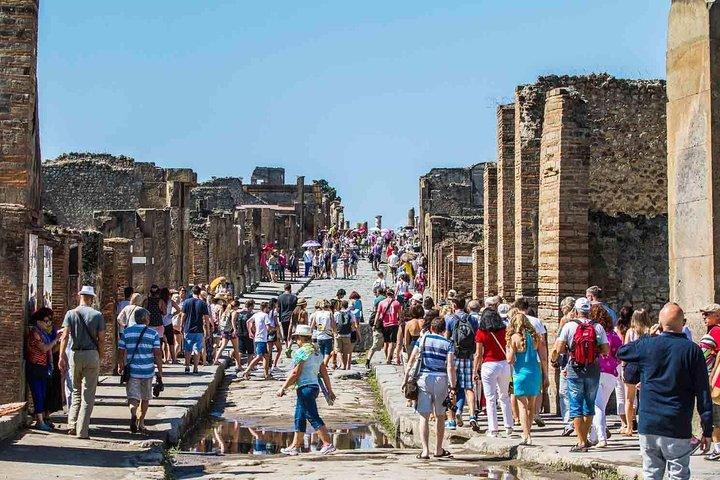 Private Pompeii Tour with Local Guide & Entry Ticket