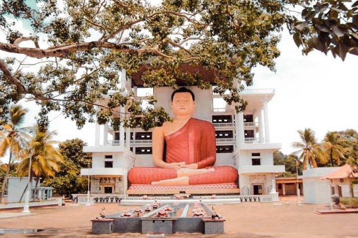 Wild Wonders and Hidden Temples from Galle (2 Days)