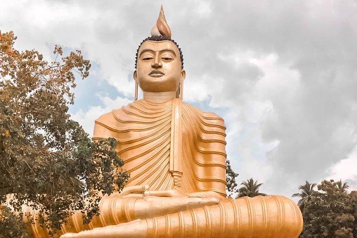 Wild Wonders and Hidden Temples from Galle (2 Days)