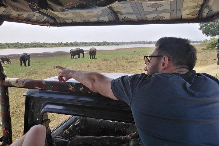 A Udawalawa Park safari, Tour from Colombo/Galle- (All inclusive)