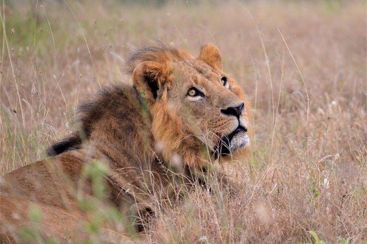 Nairobi National Park