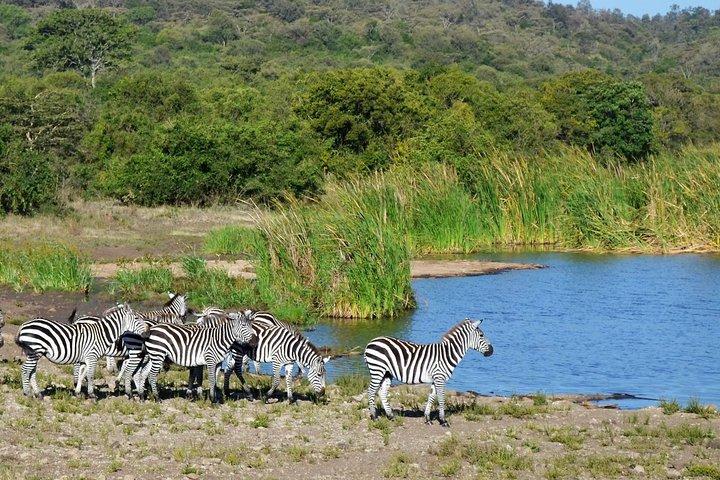 Nairobi National Park