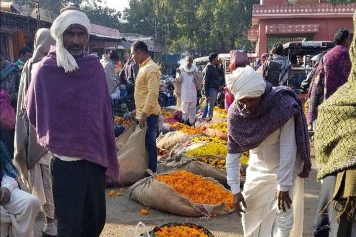 Pinkcitytour - Jaipur Sightseeing