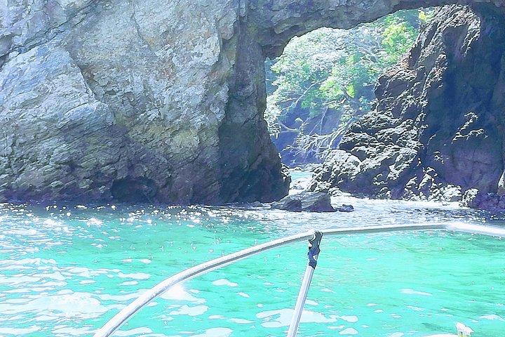 Isla Tortuga Snorkeling Tour