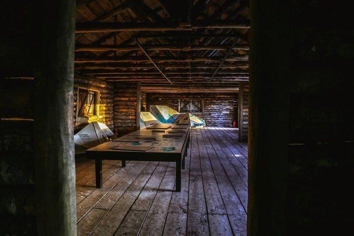Cruises Shore Excursions : Highlights + Fort Bulnes