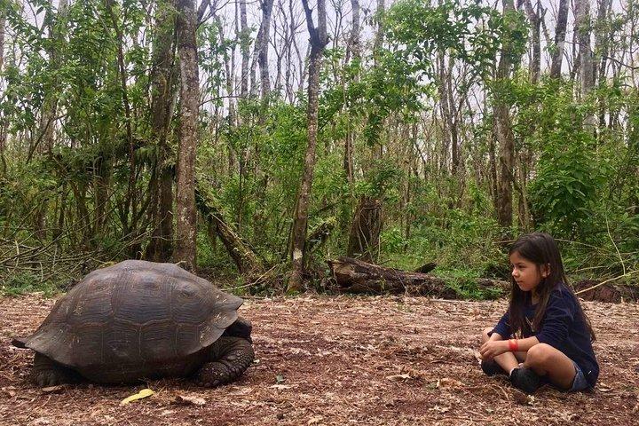 Meet a 150-Year-Old Giant Tortoise in the Galapagos Highlands