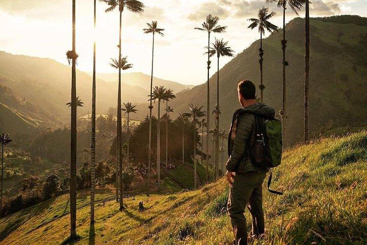 Cocora Valley Tour and Santa Rita Waterfall