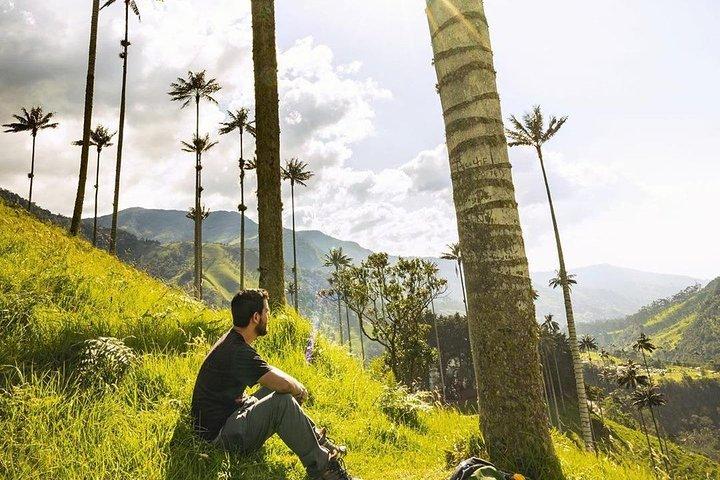 Cocora Valley Tour and Santa Rita Waterfall
