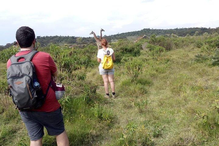 Lake Naivasha Day Trip