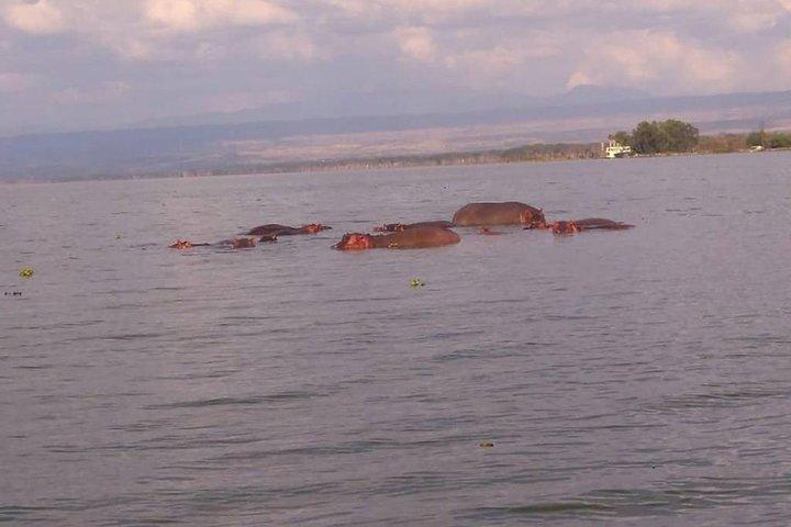 Lake Naivasha Day Trip