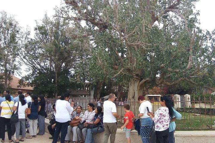 Travel to Bethlehem, Jericho and Qaser Al Yahud - Guided Tour From Jerusalem