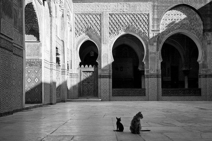 4 Hour Private Marrakech City Tour