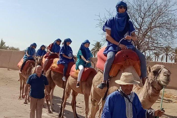 Marrakech camel ride in Palm grove