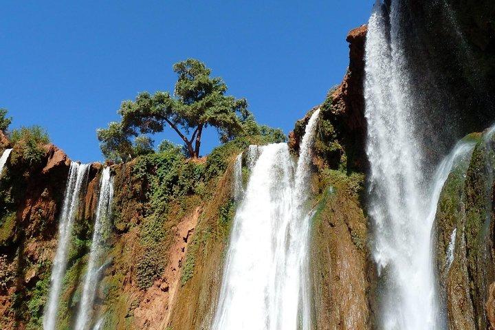 Ouzoud Waterfull - Day Trip from Marrakech