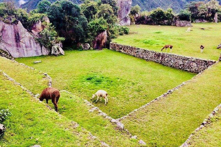 Machu Picchu Wonder of the Modern World