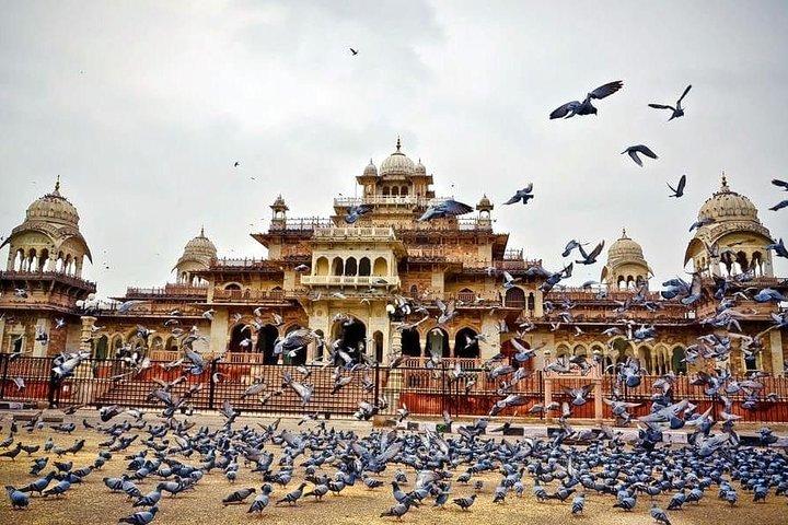 Full-Day Private Tour Heritage of Jaipur with Amber Fort