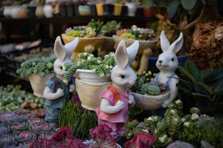 2-Day Kunming tour with the Stone Forest,Flower Market,West Hill and Dragon Gate